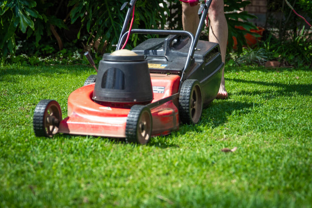 A homeowner pushing a manual lawn mower